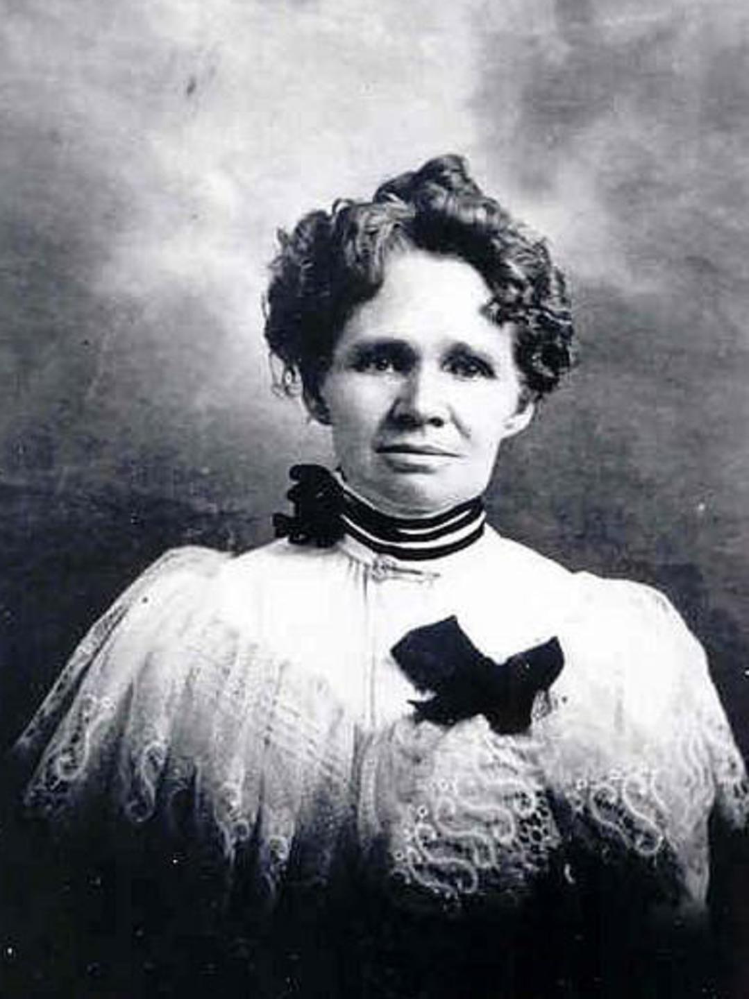 Annie Johanna Williamson (1851 - 1933) Profile